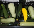 Courgette party !